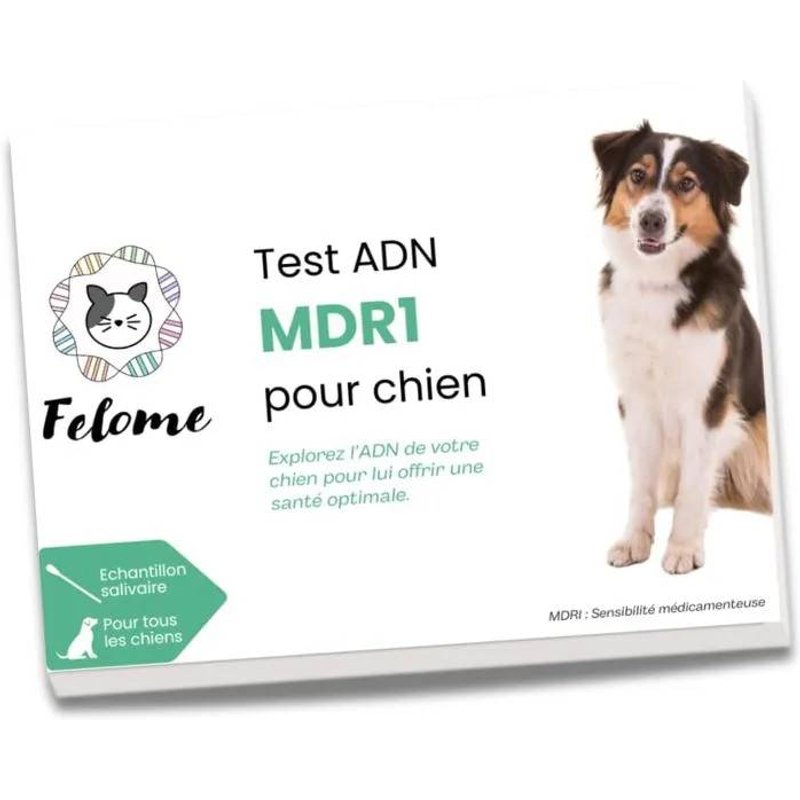 Test Adn Mdr1 Chiens - Sensibilité Médicamenteuse - Résultats Rapides - Santé Chiots & Chiens.