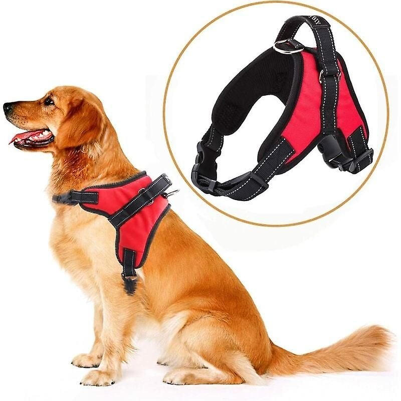 Harnais Pour Chien De Taille Moyenne, Grande Et Petite, Gilet Réfléchissant Réglable Pour Grands Chiens, Assistance Rembourrée Douce Avec Poignée Robuste Et Confortable Pour Le Dressage Des Chiens (Taille