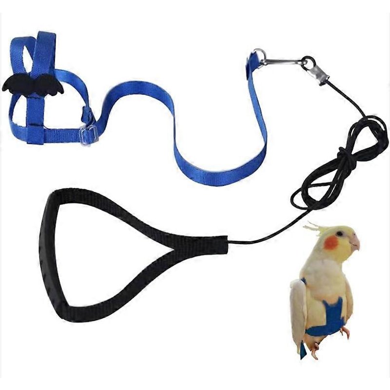 Harnais Réglable Pour Perroquet, Laisse Pour Animaux De Compagnie, Corde Anti-Morsure, Sangle Élastique Pour Oiseaux, Perroquets, Cacatoès, Aras