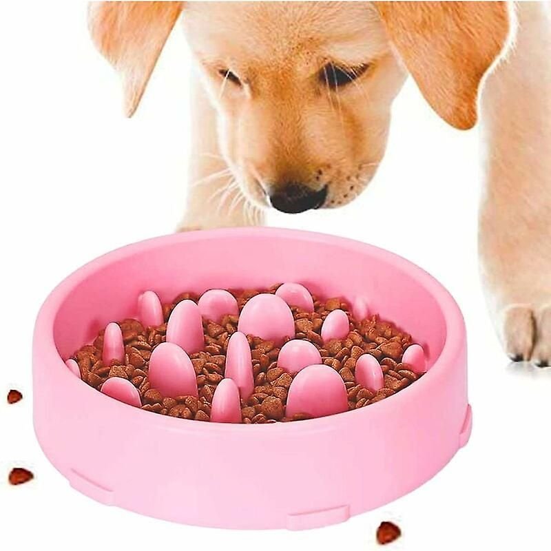 Gamelle D'alimentation Lente Pour Chiens, Conception Antidérapante À Alimentation Lente, Gamelle Interactive Amusante Pour Chats Et Chiens, Favorise Une Alimentation Saine Et Une Digestion Lente (
