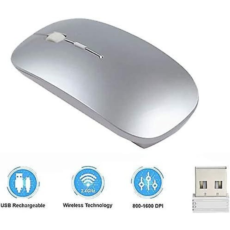 Souris sans fil rechargeable - 2,4G avec récepteur nano - Silencieuse - Pour bureau