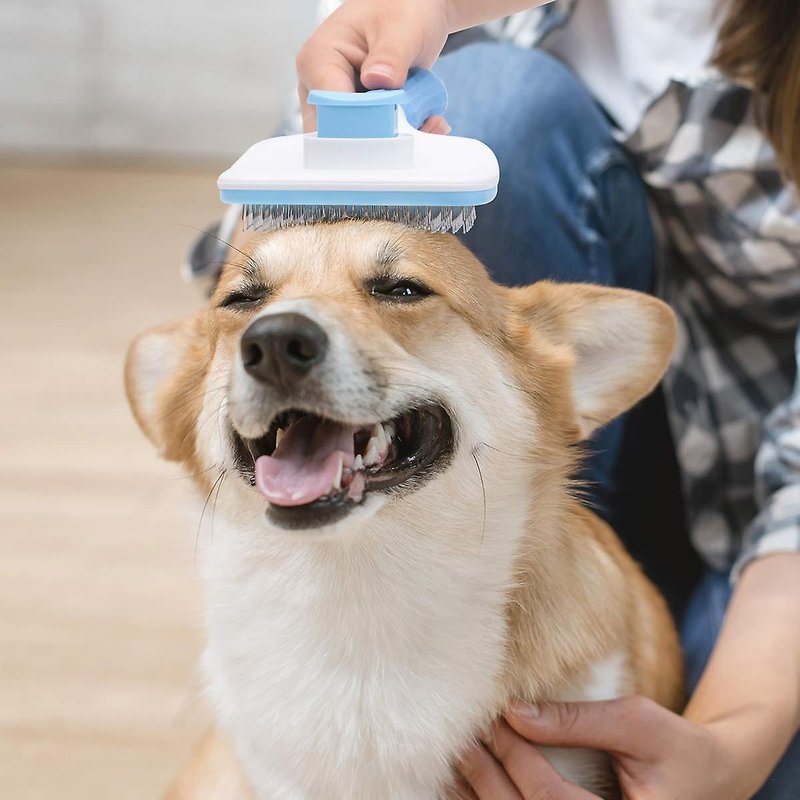 Brosse De Toilettage Autonettoyante - Pour Poils Courts Et Longs - Massage Silicone - Chien Et Chat