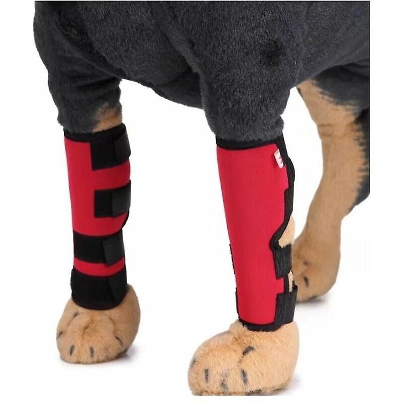 Genouillères Pour Animaux De Compagnie Avec Barres De Soutien, Protège-Jambes Pour Chiens, Protection Des Pattes Pour Chiens, Protection Contre Les Blessures Chirurgicales, Taille L