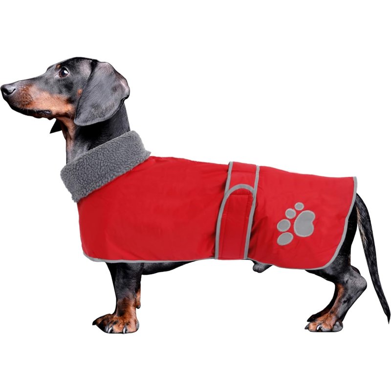 Waterproof Winter Coat For Dachshund,Adjustable Jacket With Warm Fleece Lining,Clothes With Harness Hole For Medium Puppy And Small Dog-Red-M