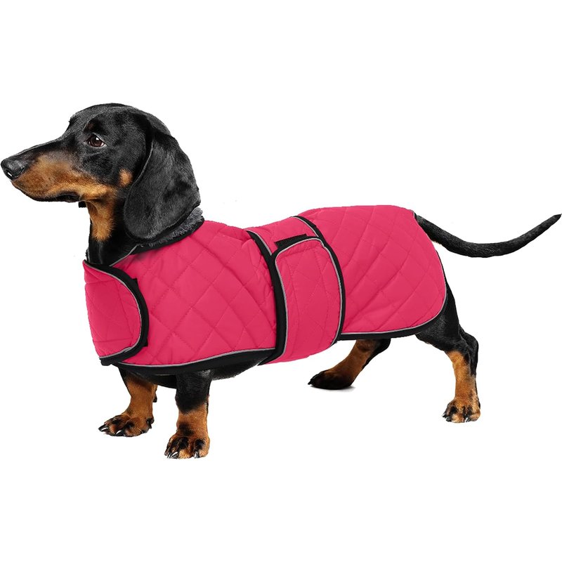 Warm Waterproof Coat For Dachshund,Winter Coat For Dogs With Warm Fleece Lining And Adjustable Strips,Winter Jacket For Small And Medium Dogs,Pink-M