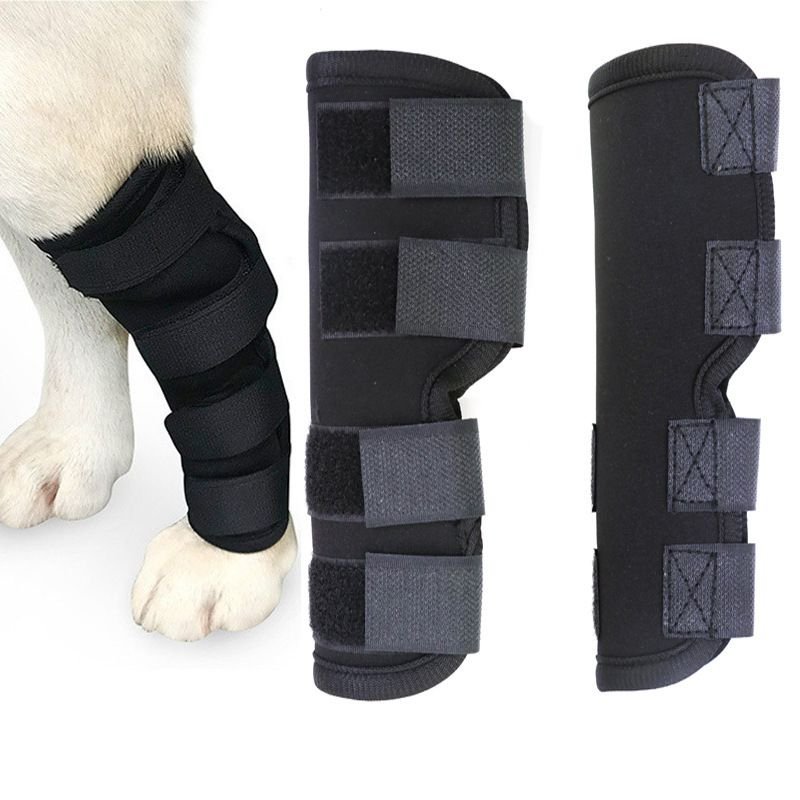 Attelles De Jambe De Chien Respirantes Pour Le Lca, L'arthrite Et Le Soulagement Des Douleurs Articulaires S