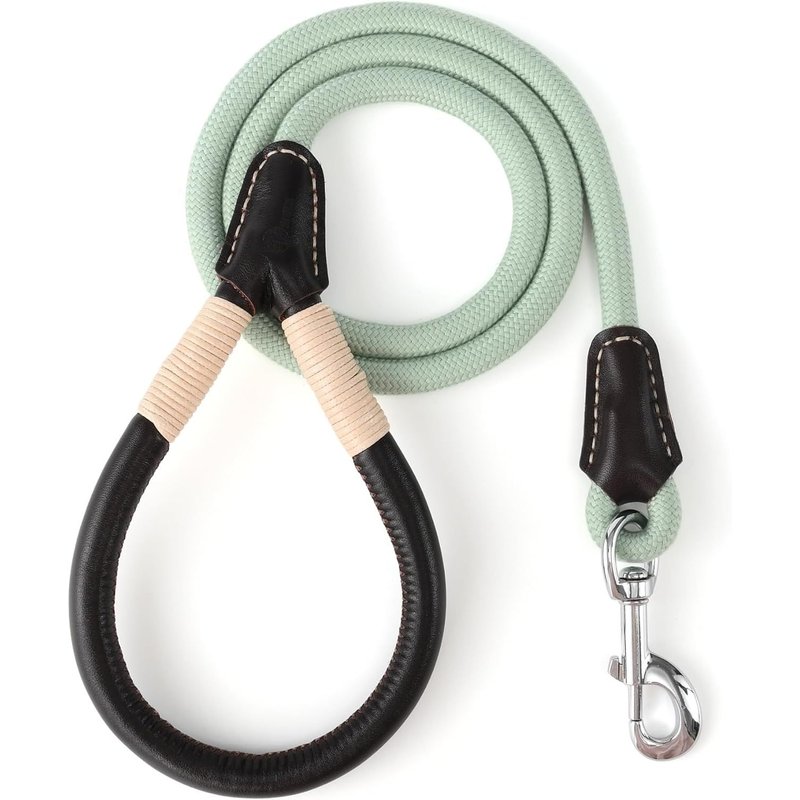 Laisse Pour Chien En Cuir Véritable Avec Fermoir Robuste Pour Chiens De Petite, Moyenne Et Grande Taille (Vert, 1,5 M)
