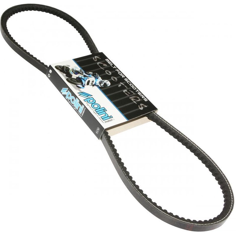 Courroie Polini Piaggio Ciao sans variateur