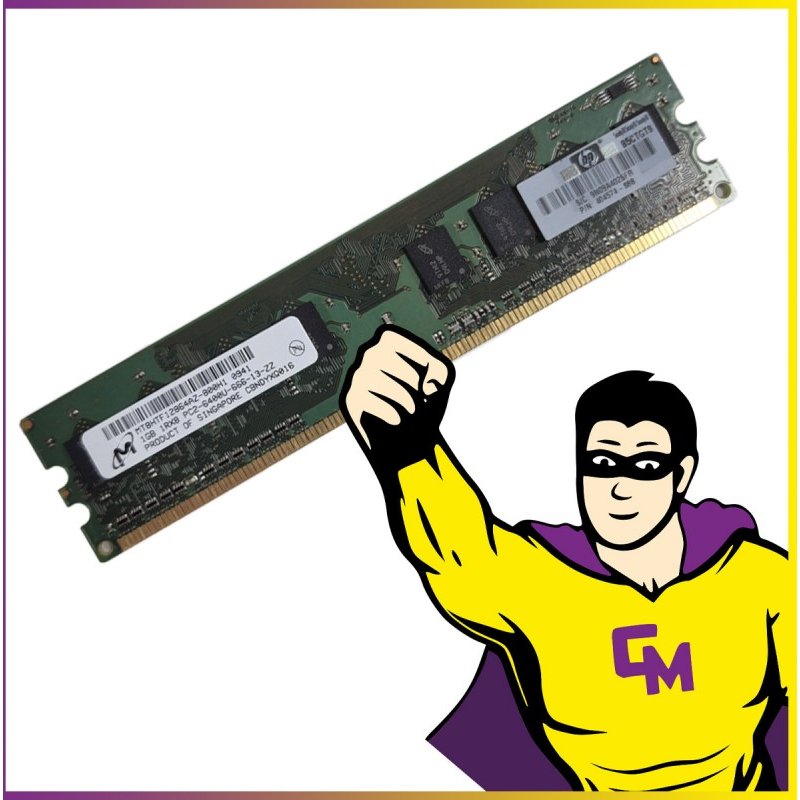 1Go RAM DDR2 Micron MT8HTF12854AZ-800H1 DIMM PC2-6400 800 Mhz 1.8V Mémoire PC