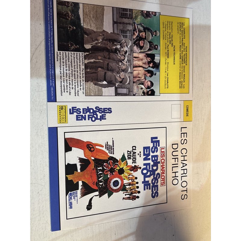 Les Bidasses En Folie