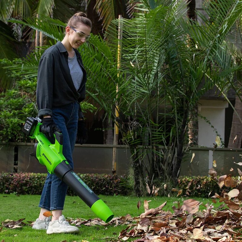 Souffleur de feuilles sans fil Greenworks GD24X2AB; 48 V (sans batterie et chargeur)