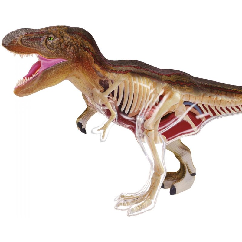 Permanent Mixte Bte/Explora Paleontologie T Rex 27