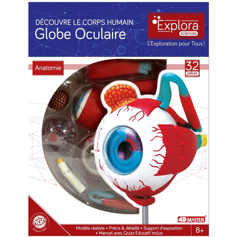 Permanent Mixte Bte/Explora Anatomie Oeil - Notice