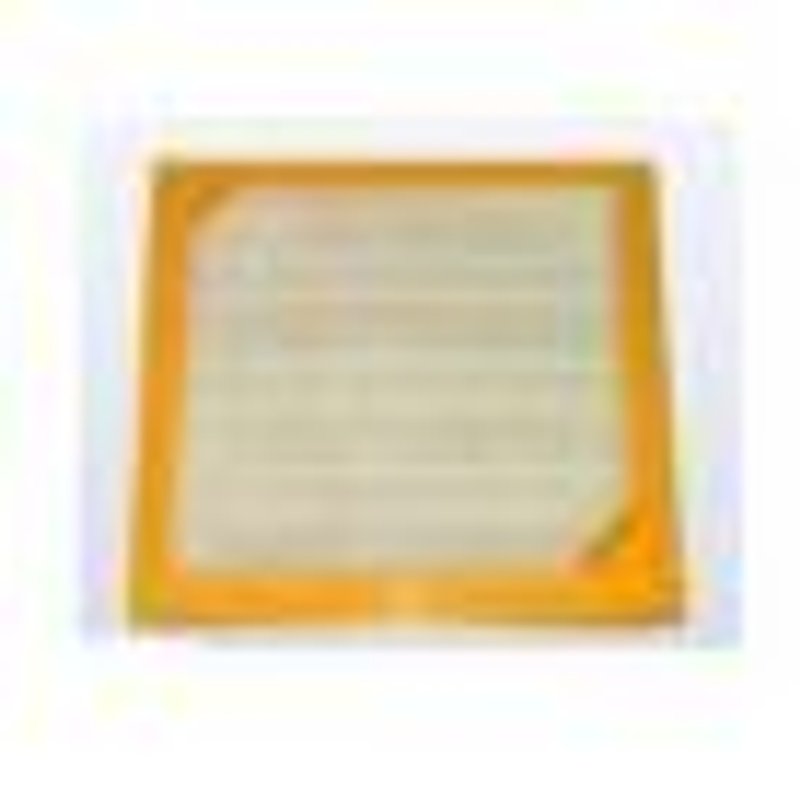 T70 filtre sortie HEPA Aspirateur (04365062 09183955 HOOVER NILFISK)