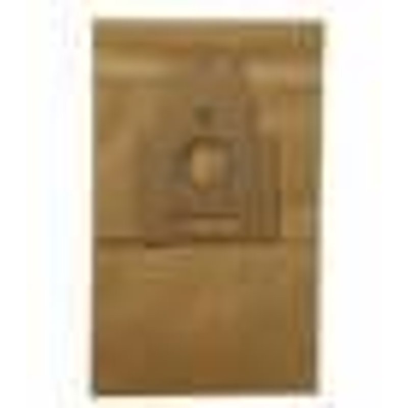 Boite De 4 Sacs Papier Aspirateur Bosch Typep