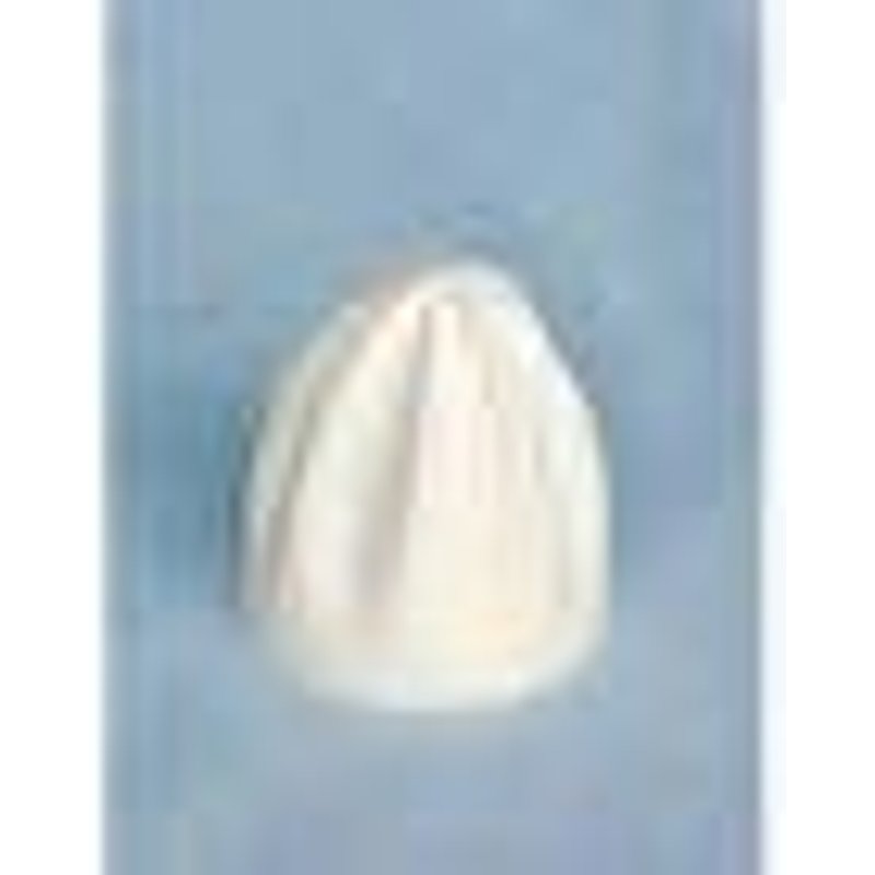 Cone Blanc Presse Agrumes Robot Menager Kenwood Fp911