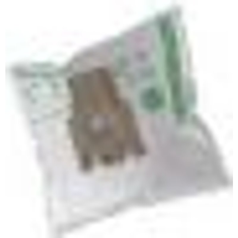 4 Sacs Anti Odeurs H61 / H30f Aspirateur Hoover T56..