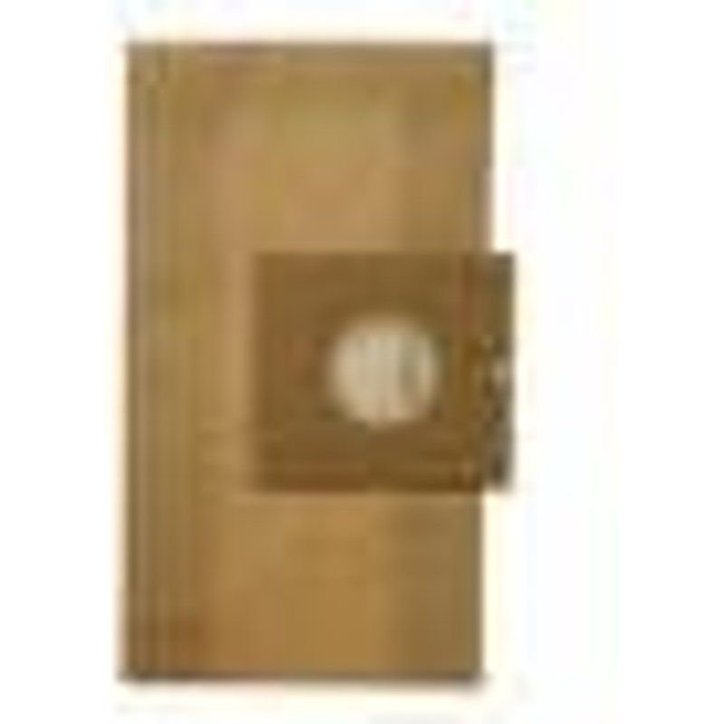 Boite De 4 Sacs Microfibres Aspirateur Bissel Coccinelle