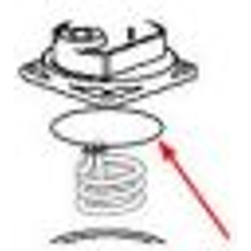 Joint Or Sous Diffuseur Expresso Delonghi Ec710