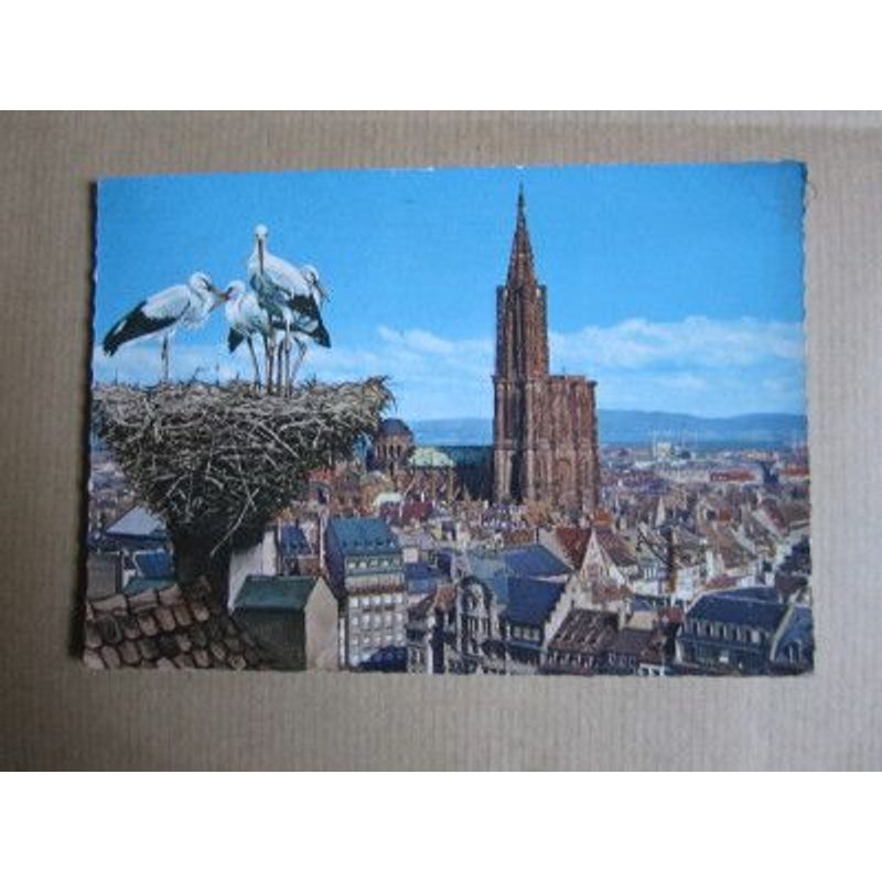 Carte Postale Affranchie : Strasbourg, Nid De Cigognes, 1965