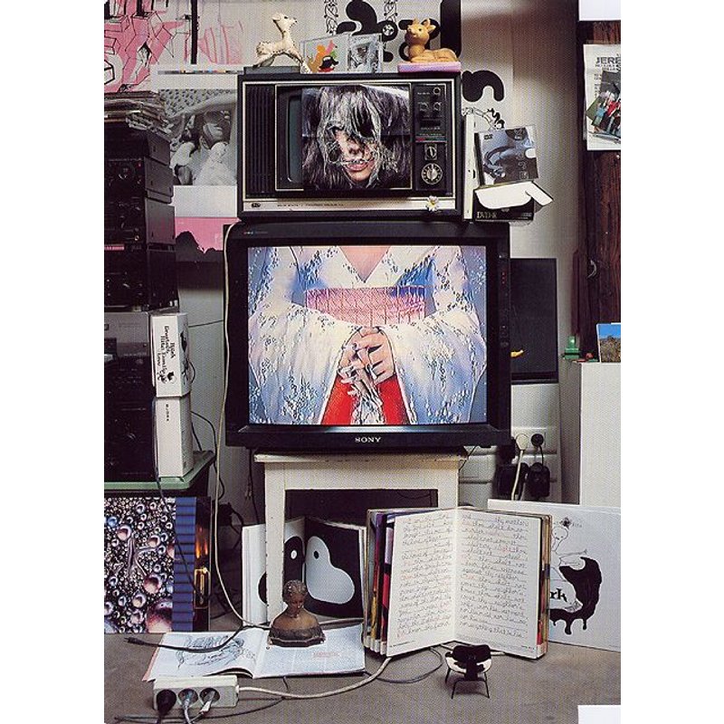 Björk - Inside Björk