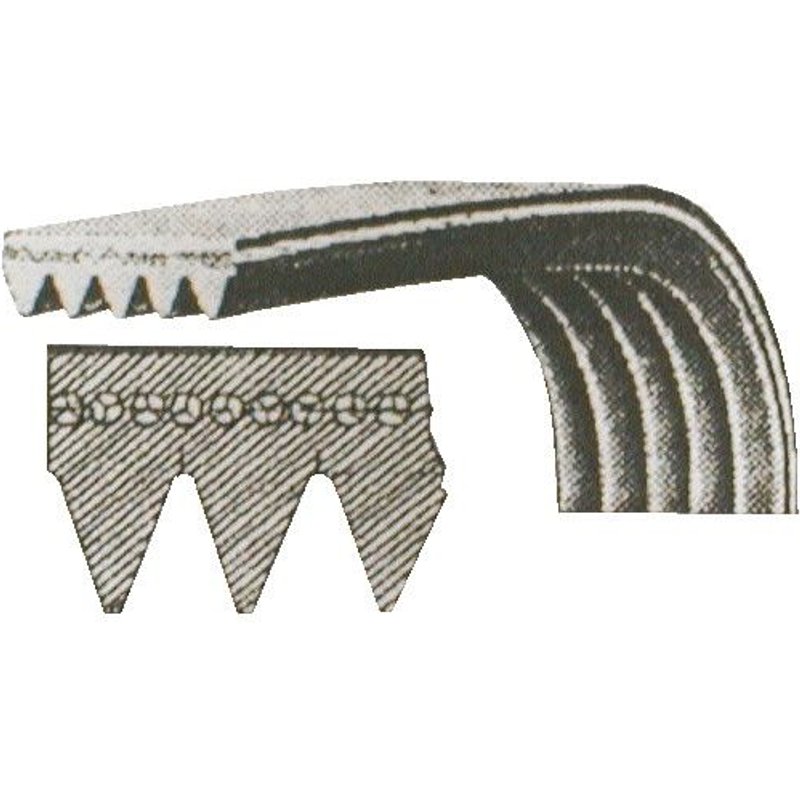 Courroie 1965 H7 Ec229 Ec28 Sole 2003