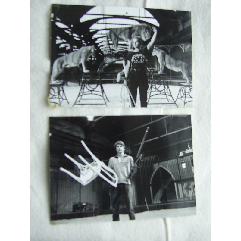 Roselyne Et Les Lions