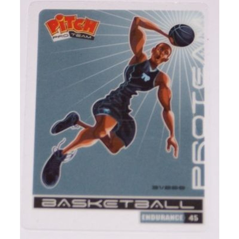 Image Pitch Basketball 31/200