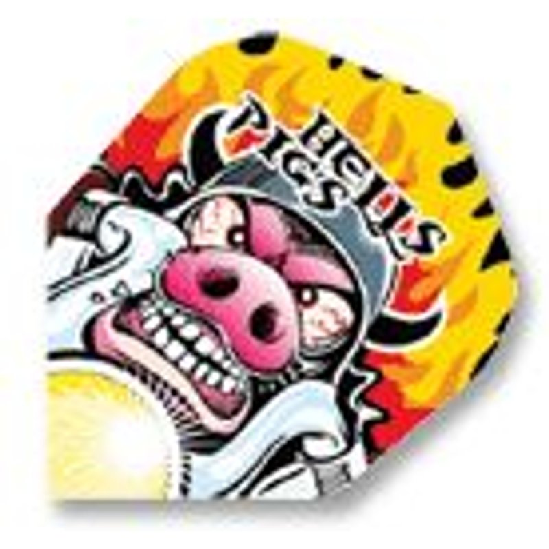 Ailette Fléchette Quadro Motard