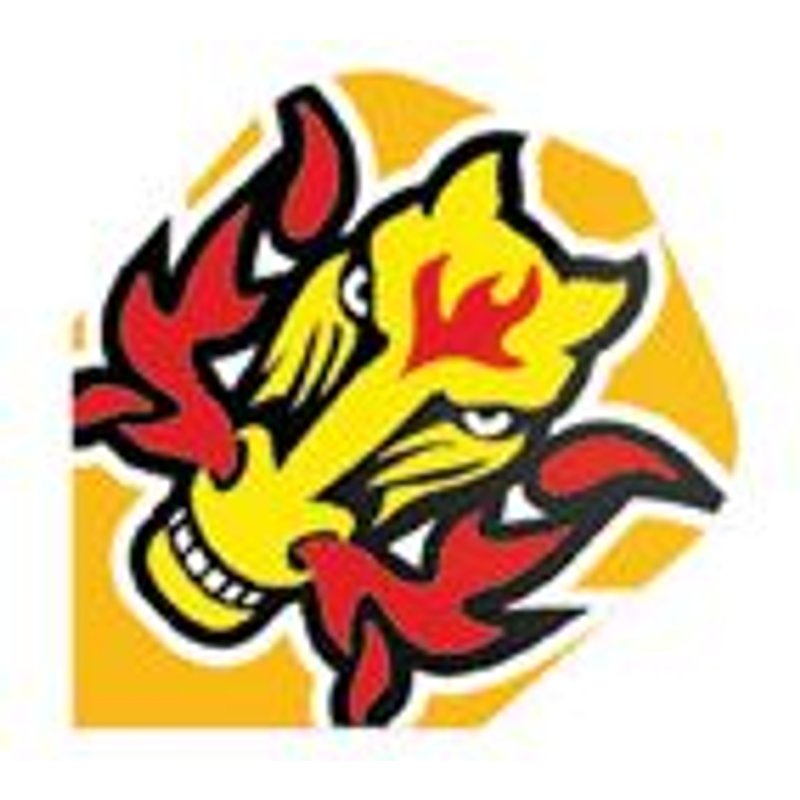 Ailette Fléchette Quadro Horse