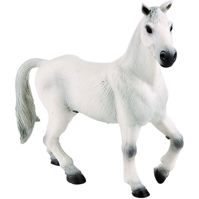 Cheval Oldenburg Blanc