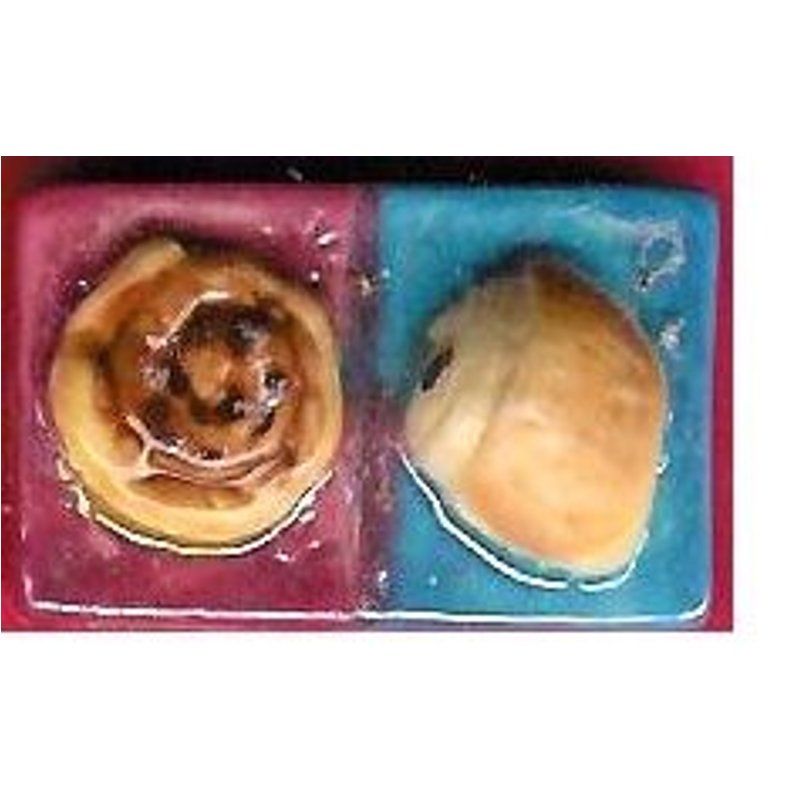 Fève Domino Pain Aux Raisins-Pain Au Chocolat