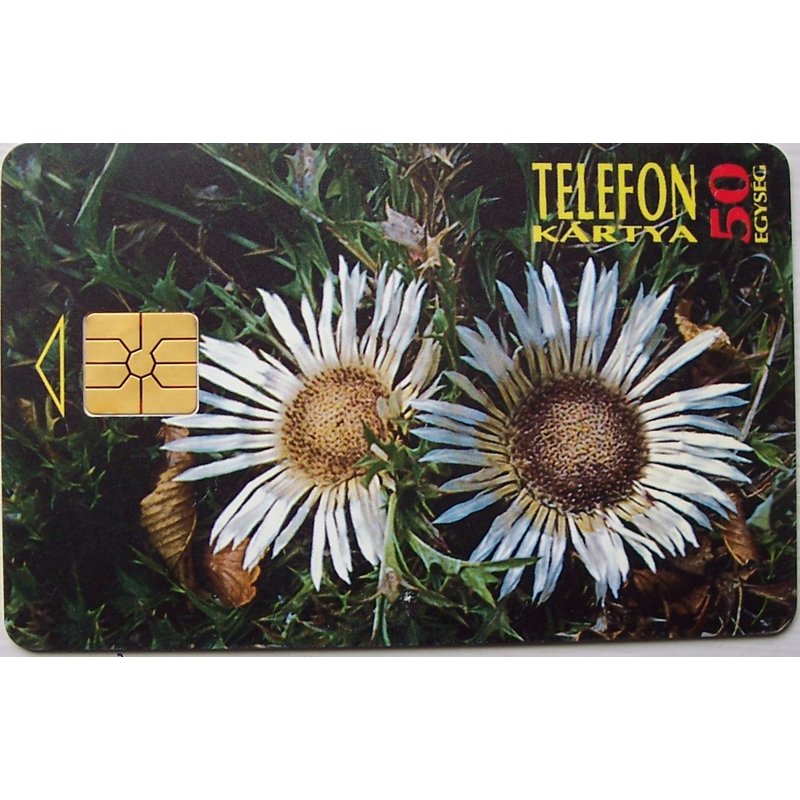 Télécarte Fleurs Carline Hongrie