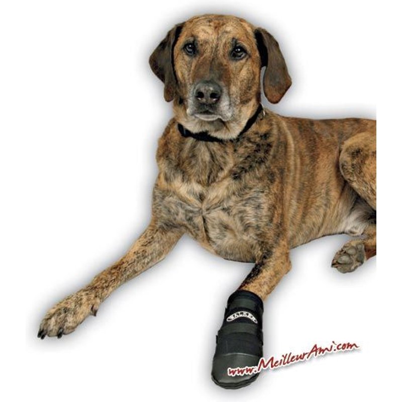 Chaussures Néoprène Taille S (La Paire)