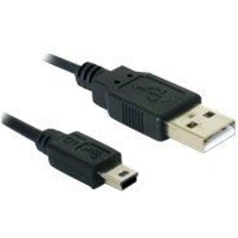 Delock - Câble USB - USB (M) pour mini USB type B (M) - 1 m