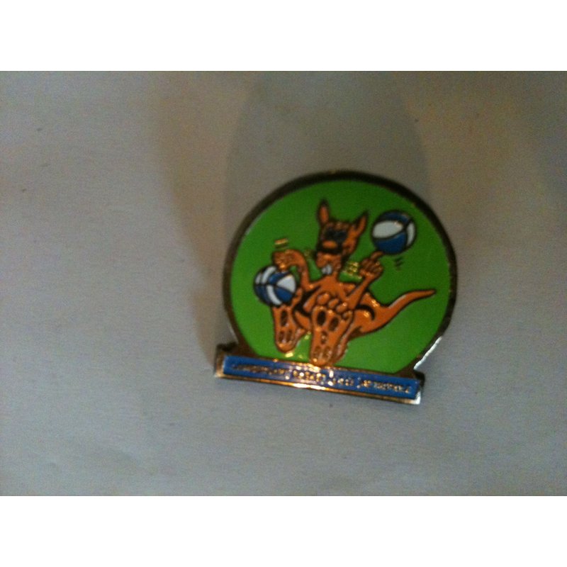 Pin's Lambersart Basket Lille Métropole