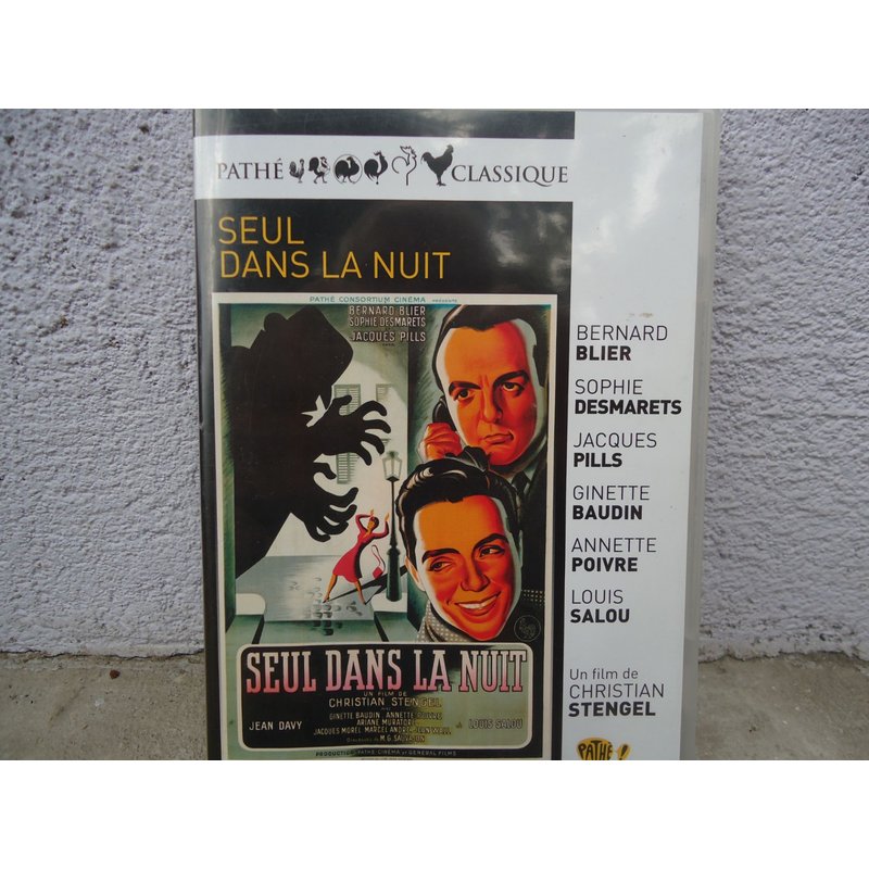 Seul Dans La Nuit