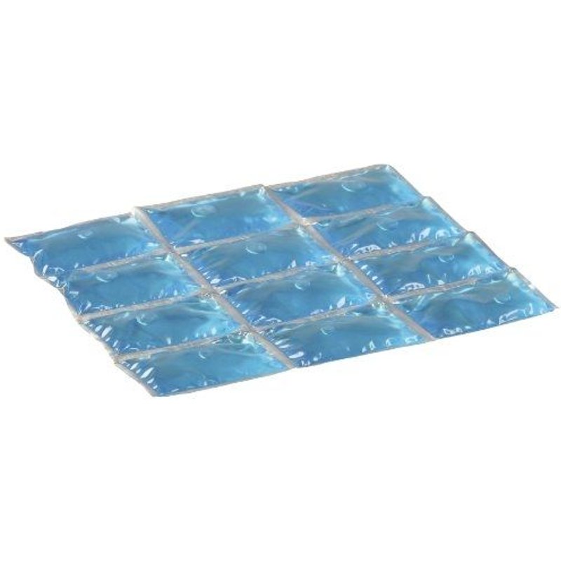 Campingaz Flexi Freez Pack Accumulateur De Froid Bleu M