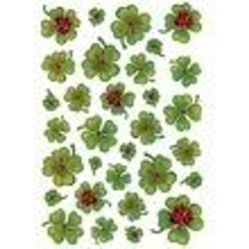 Herma Stickers Decor Trèfles 5438