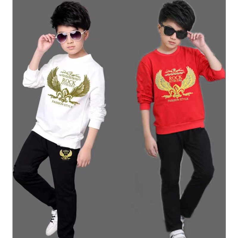 Teenage Clothing casual sports suit boys' sweatshirt pullover long-sleeved two-piece sportswear