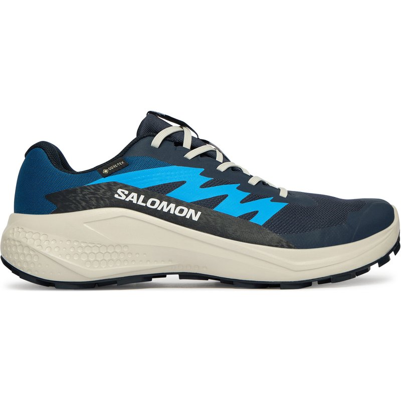 Laufschuhe Salomon Alphaglide Gtx L47975100 Blau