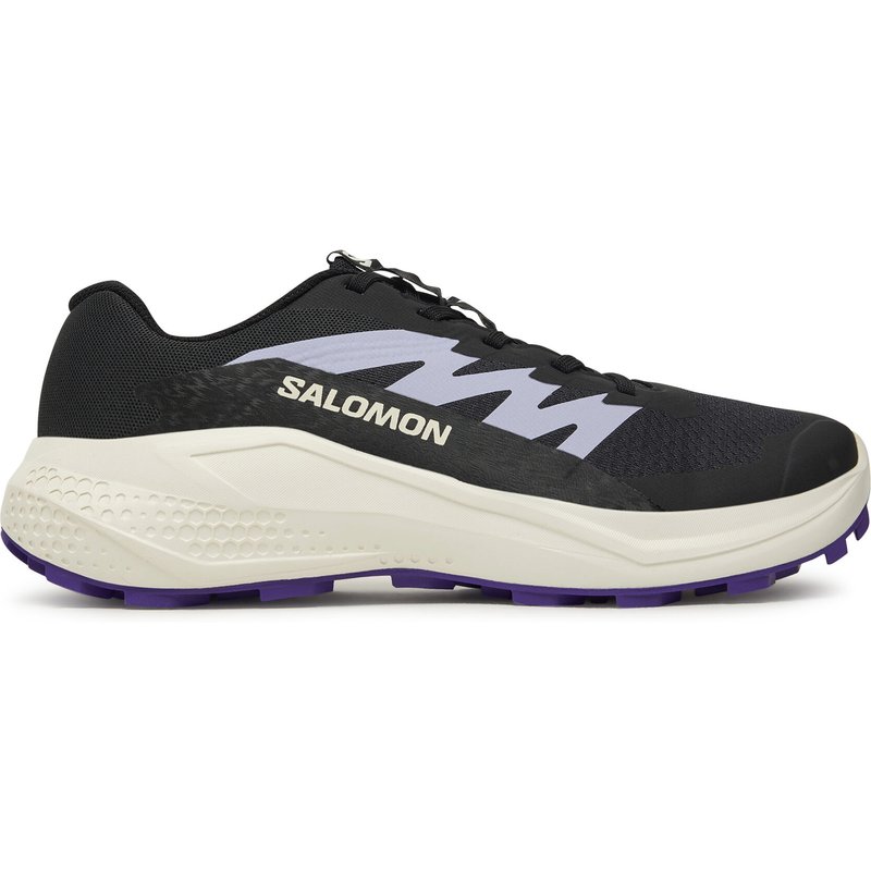 Laufschuhe Salomon Alphaglide L47801800 Grau