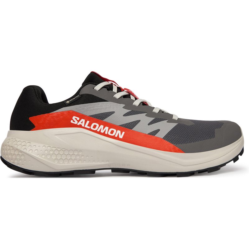 Laufschuhe Salomon Alphaglide Gore-Tex L47975300 Grau