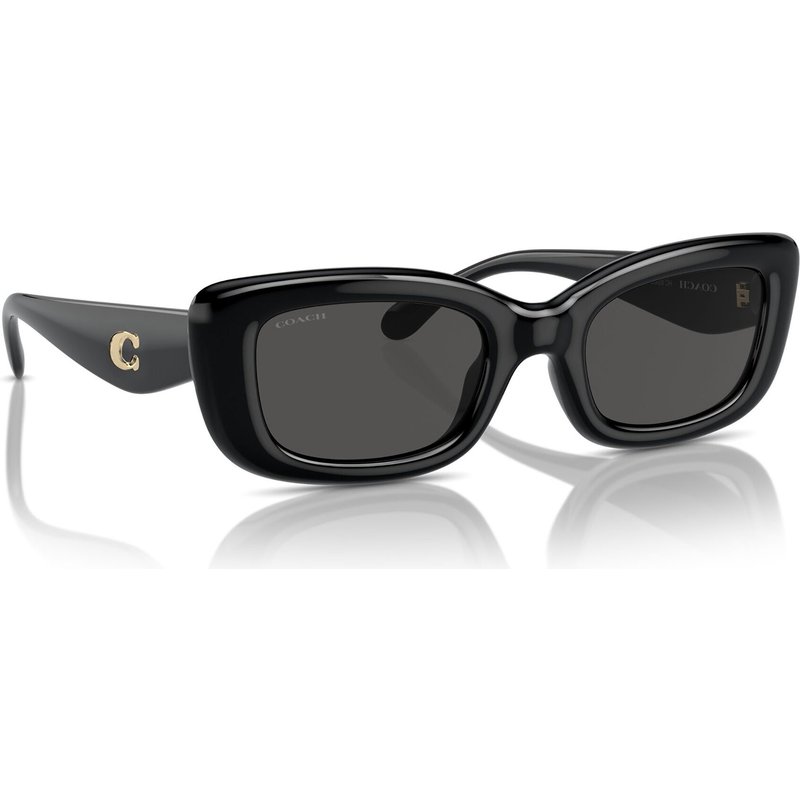 Sonnenbrillen Coach 0HC8390U 500287 Schwarz