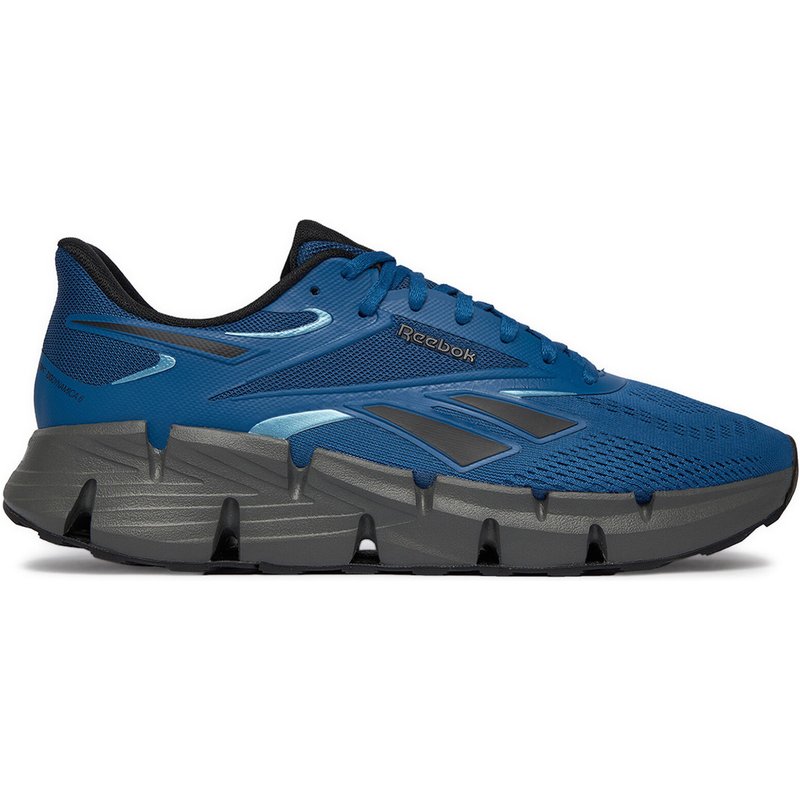 Laufschuhe Reebok SS-ZIG DYNAMICA 6 100244517 Blau