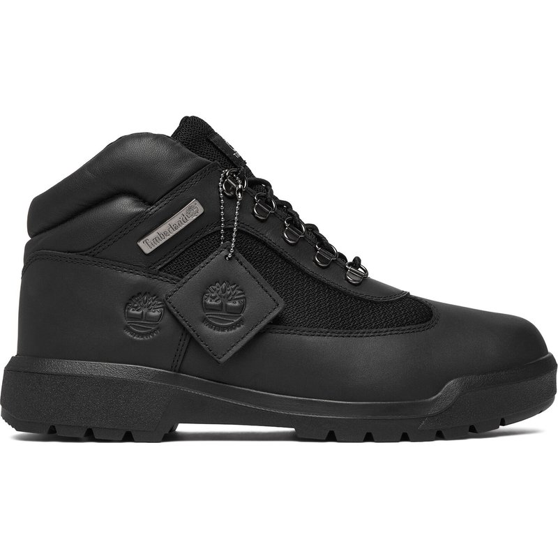 Schnürschuhe Timberland Field Boot TB0A42SGW021 Schwarz