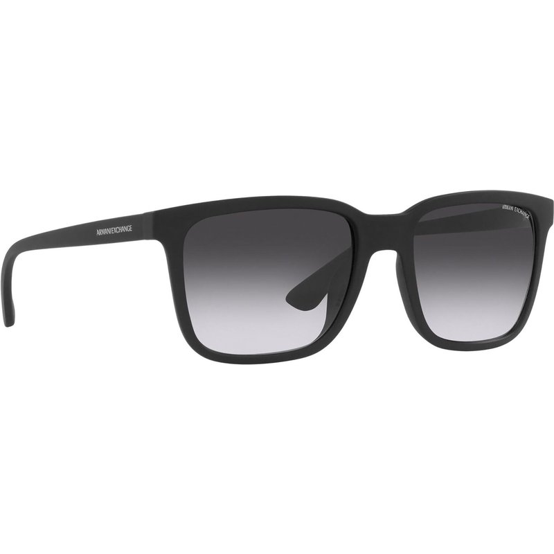 Sonnenbrillen Armani Exchange 0AX4112SU 80788G Schwarz
