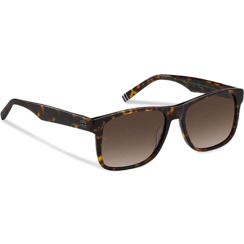 Sonnenbrillen Tommy Hilfiger 2073/S 206751 Braun