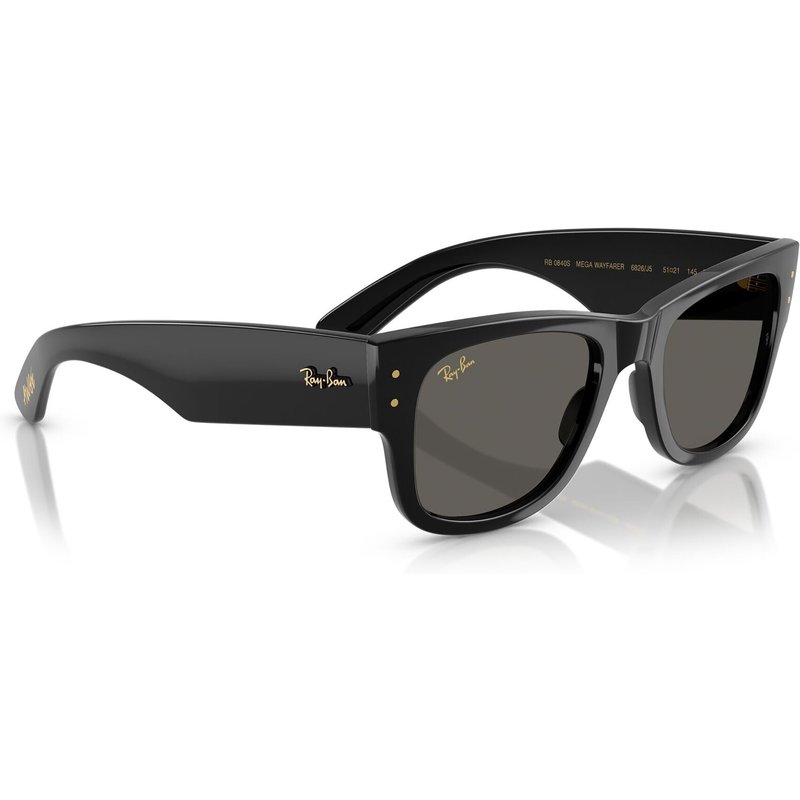 Sonnenbrillen Ray-Ban 0RB0840S Schwarz