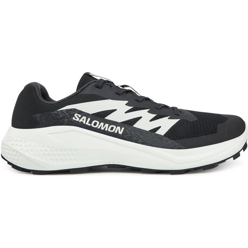 Laufschuhe Salomon Alphaglide L47801000 Schwarz